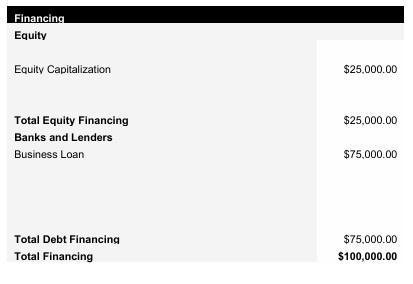 Ice Cream Shop Capital Structure
