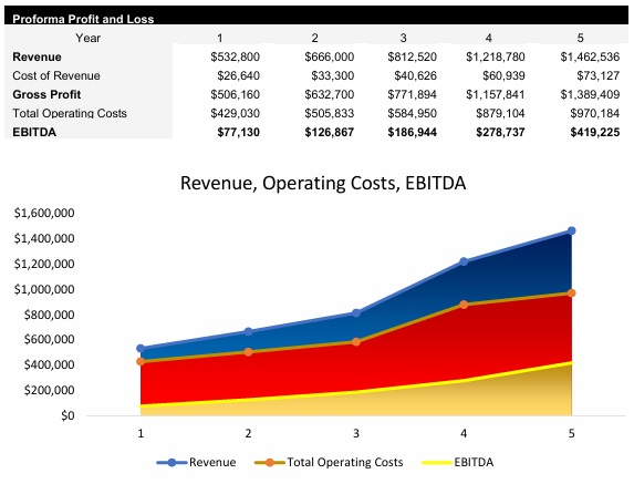 Marketing Firm Profit and Loss Statement