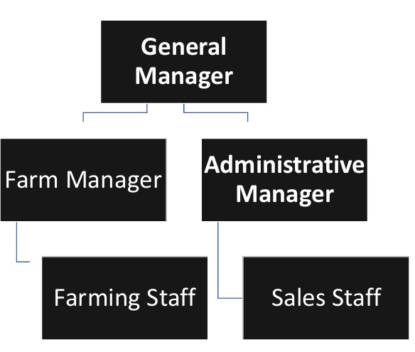 Organic Farm Organizational Chart