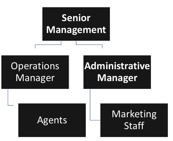 Real Estate Brokerage Organizational Chart