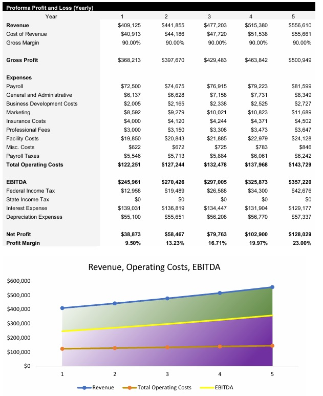Short Term Rentals Income Statement