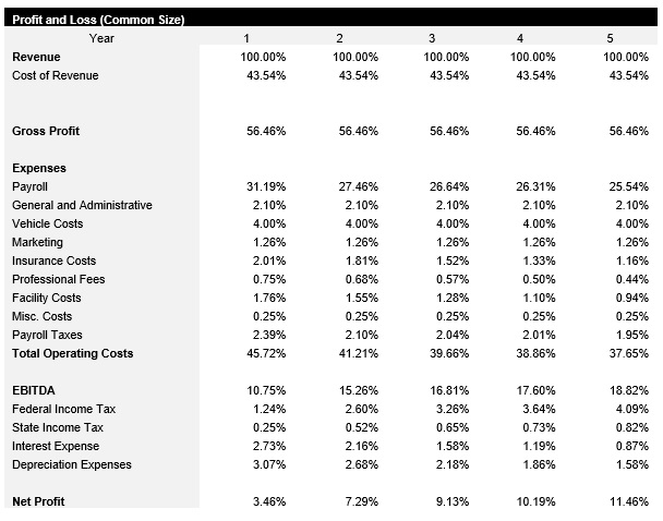 Solar Panel Installation Common Size Income Statement