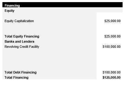 Computer Repair Capital Structure