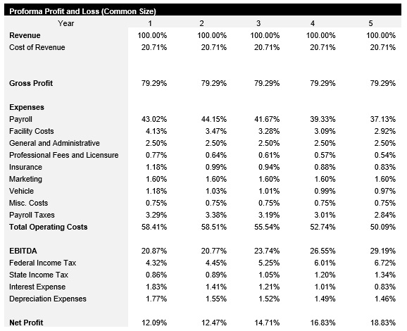 Computer Repair Common Size Income Statement