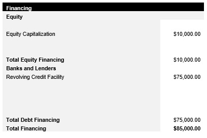 Insurance Agency Capital Structure