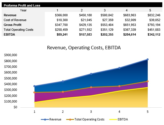 Insurance Agency Profit and Loss Statement