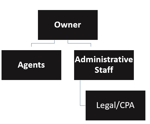 Insurance Agency Organizational Chart