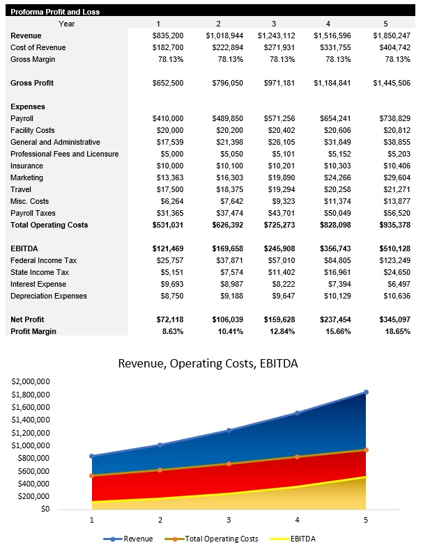 IT Consulting Income Statement