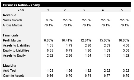 IT Consulting Business Ratios