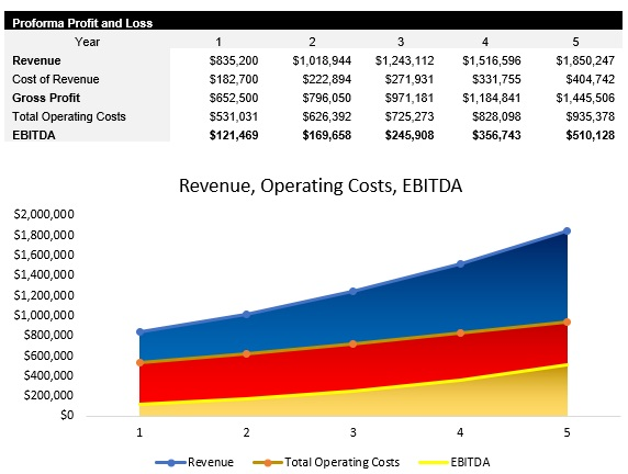 IT Consulting Profit and Loss Statement