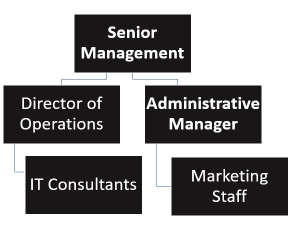 IT Consulting Organizational Chart