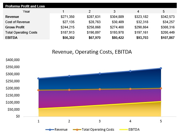 Laundromat Profit and Loss Statement