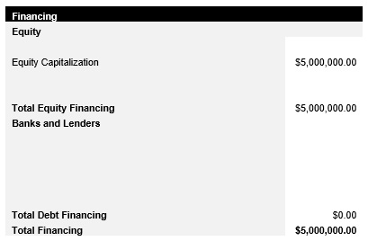 Metals Processor Capital Structure