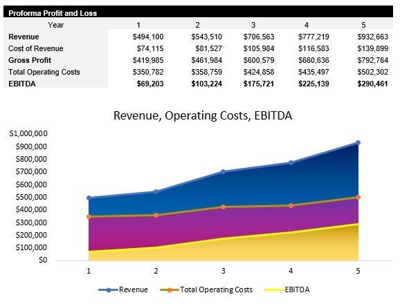 NEMT Profit and Loss Statement