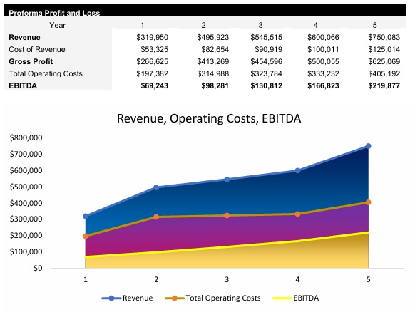 Roadside Assistance Profit and Loss Statement