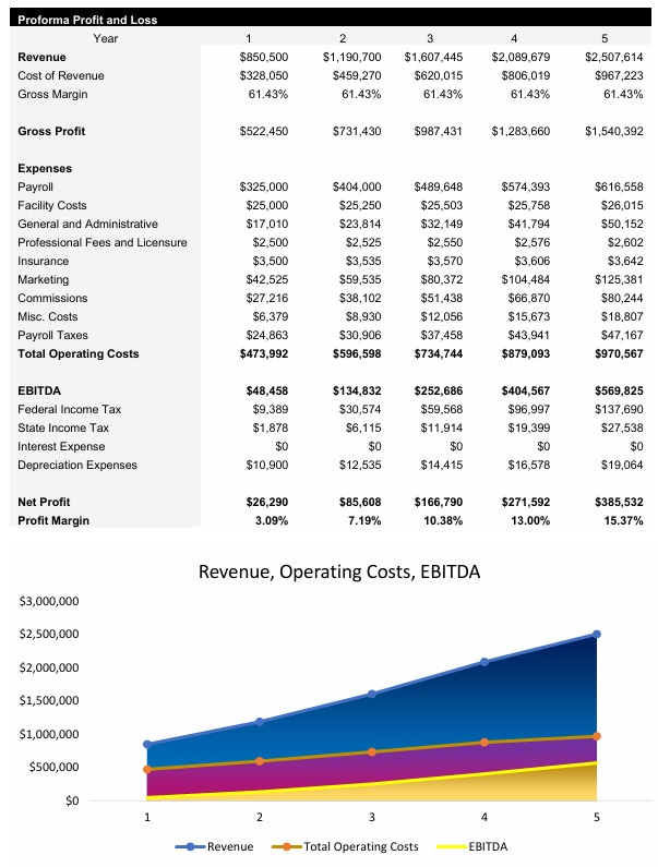 Skincare Income Statement