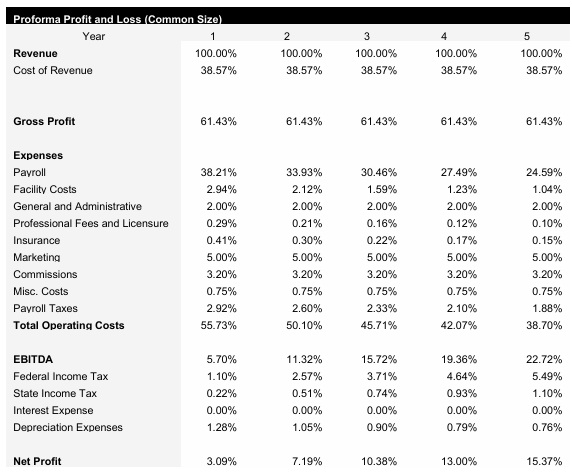 Skincare Common Size Income Statement