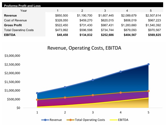 Skincare Profit and Loss Statement