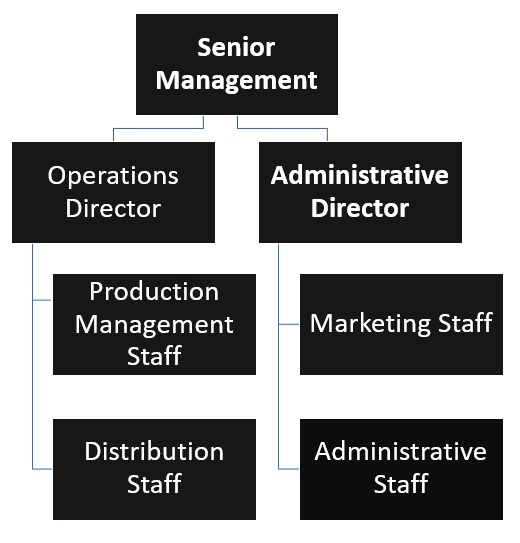 Skincare Company Organizational Chart