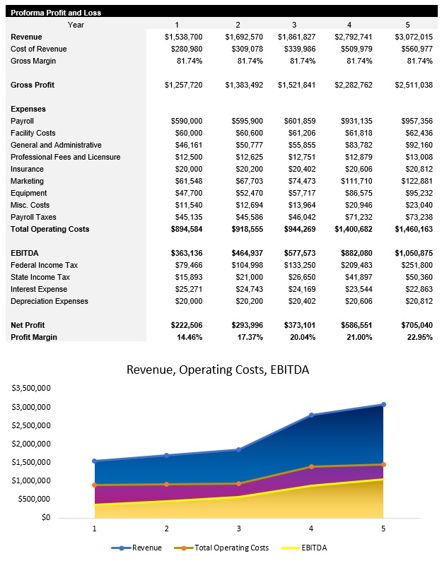 Veterinarian Income Statement