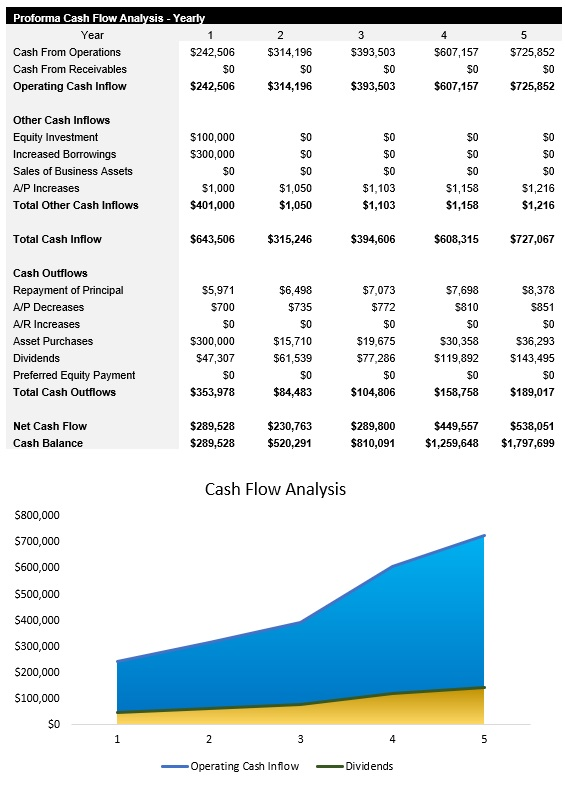 Veterinarian Cash Flow Analysis