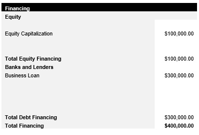 Veterinarian Capital Structure