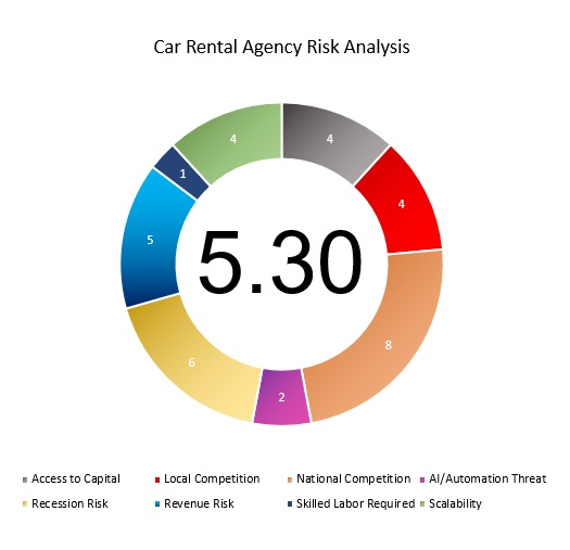Car Rental Agency Risk Analysis
