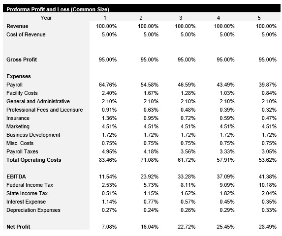Machine Learning Consultant Common Size Income Statement