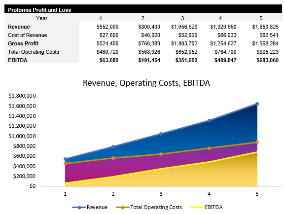 Machine Learning Consultant Profit and Loss Statement