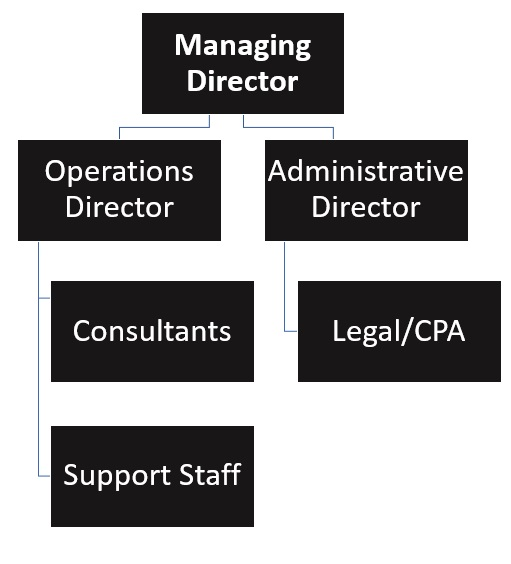 Machine Learning Consultant Organizational Chart