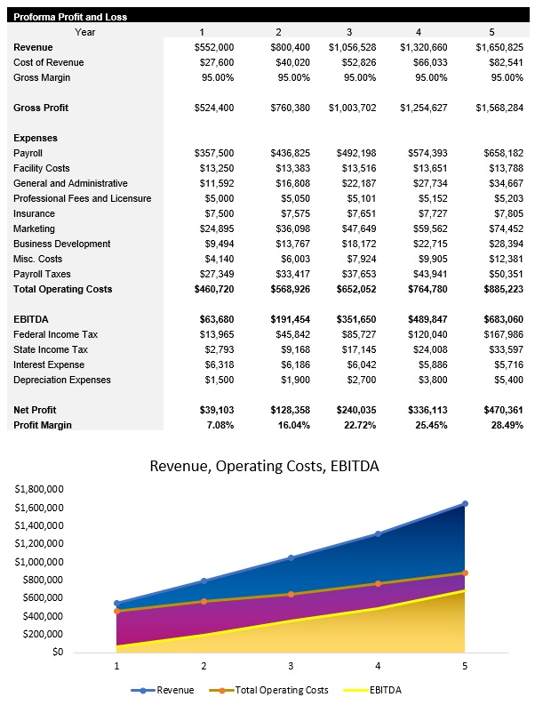 Machine Learning Consultant Income Statement