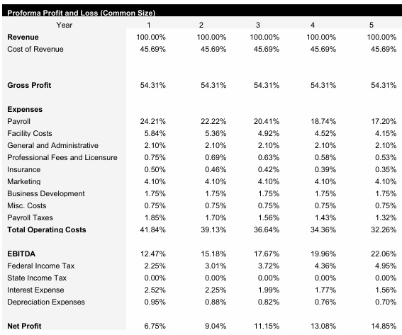 Speaker Store Common Size Income Statement