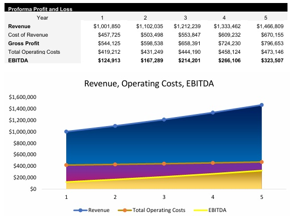 Speaker Store Profit and Loss Statement