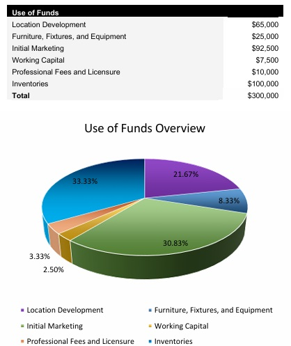 Speaker Store Startup Costs