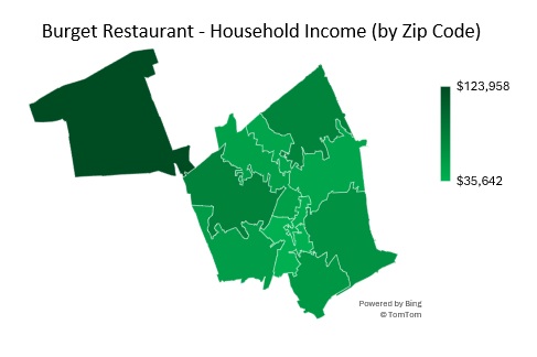 Burger Restaurant Target Market Household Income Analysis