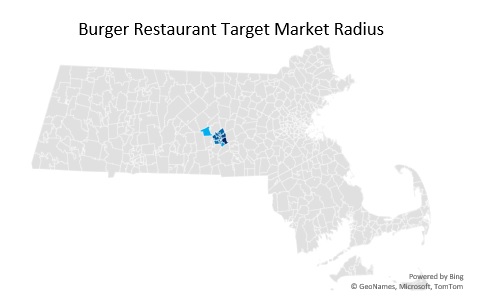 Burger Restaurant Target Market Analysis