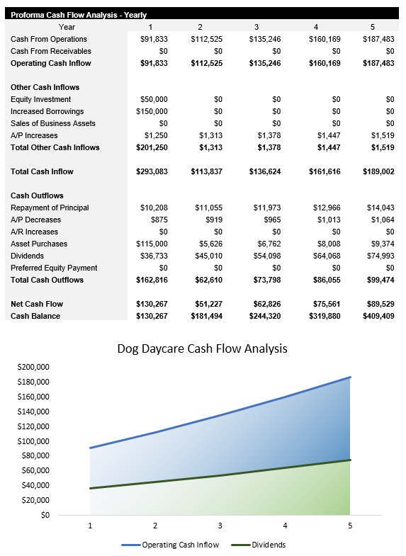 Sample Dog Daycare Cash Flow Analysis