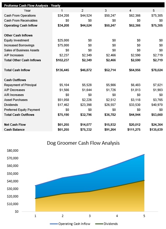 Sample Dog Groomer Cash Flow Analysis