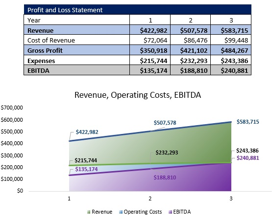 Revenue Overview - Free Dog Daycare Business Plan Template