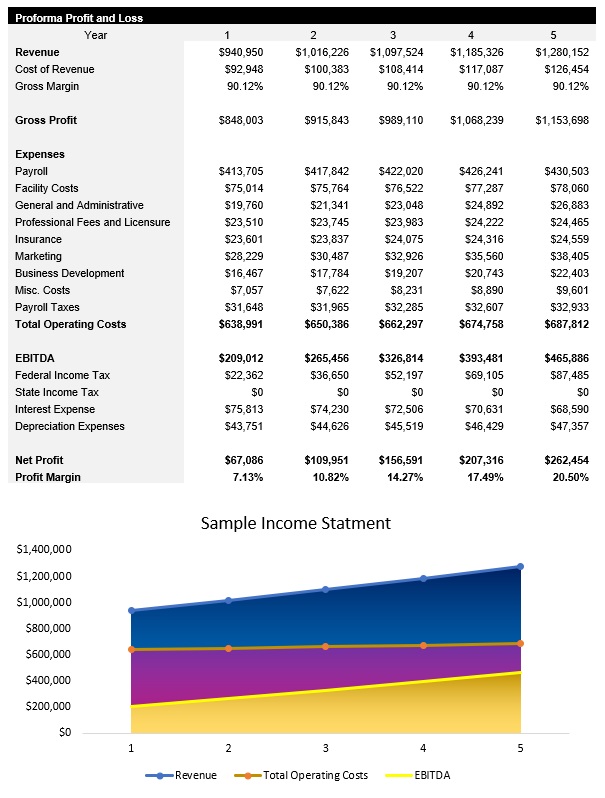 Sample Income Statement