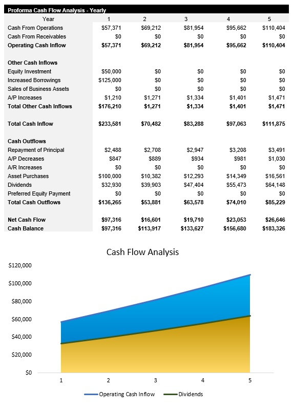 Vinyl Record Shop Cash Flow Analysis