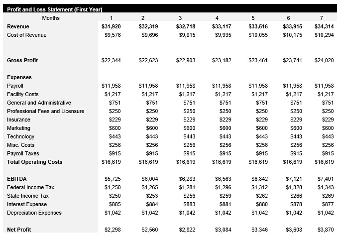 Vinyl Record Shop Monthly Income Statement