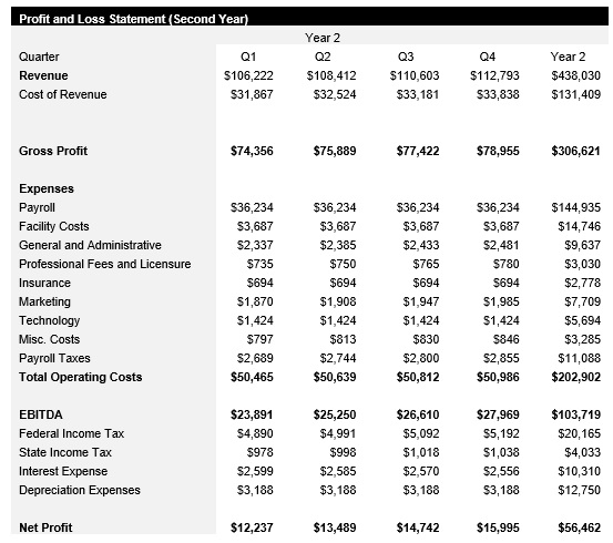 Vinyl Record Shop - Year 2 - Income Statement