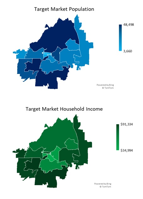 Vinyl Record Shop Market Analysis