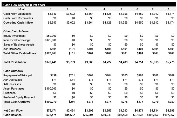 Vinyl Record Shop Monthly Cash Flow Analysis