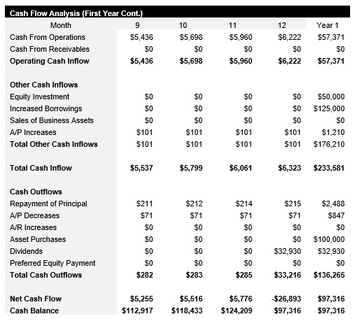 Vinyl Record Shop Monthly Cash Flow Analysis Continued