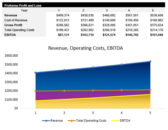 Vinyl Record Shop Profit and Loss Statement