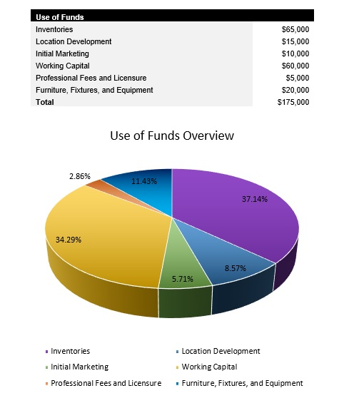 Vinyl Record Shop Startup Costs