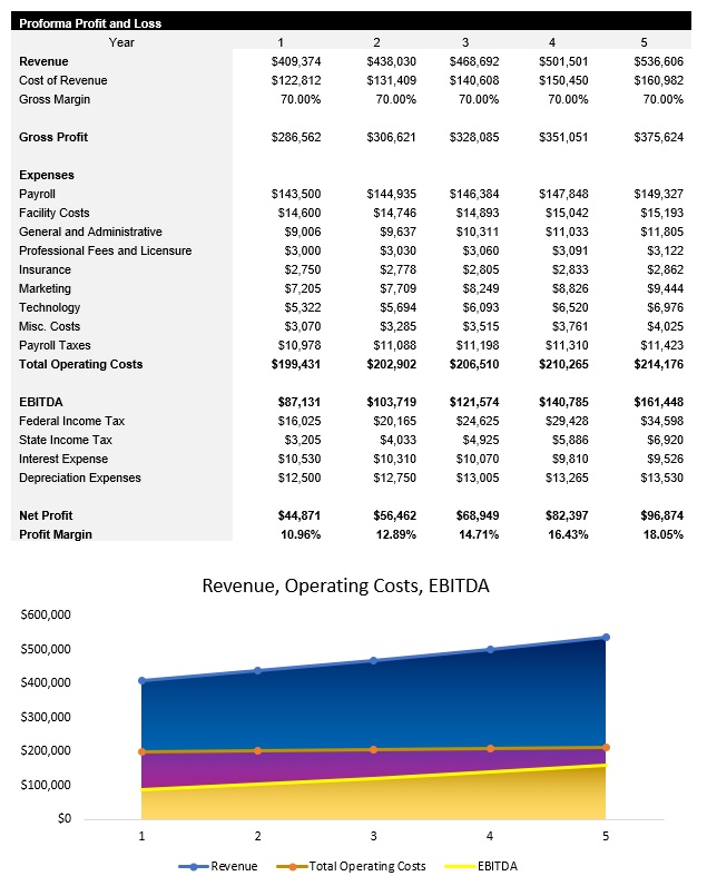 Vinyl Record Shop Income Statement