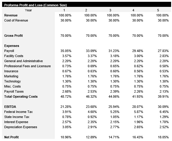 Vinyl Record Shop Common Size Income Statement